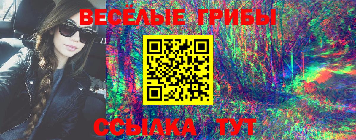 Галлюциногенные грибы мицелий Истра
