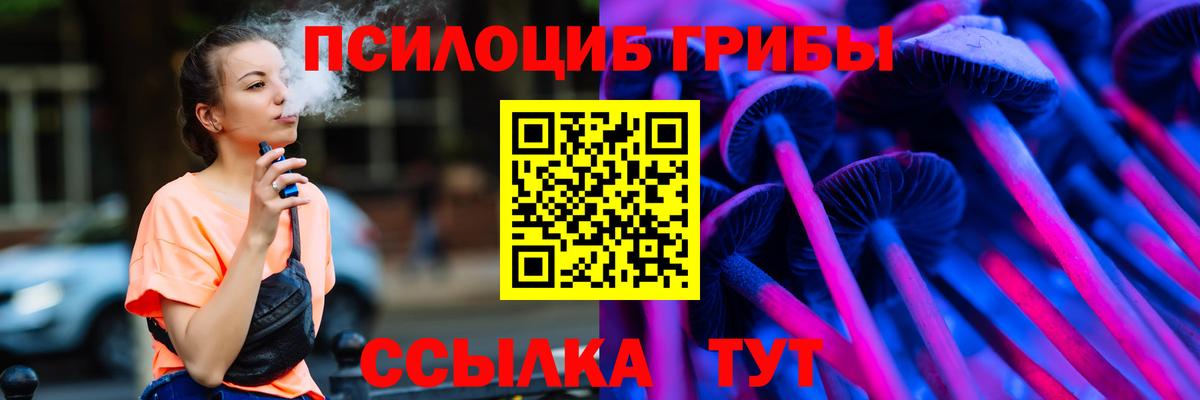 Псилоцибиновые грибы MAGIC MUSHROOMS  Вход с VPN  Истра 